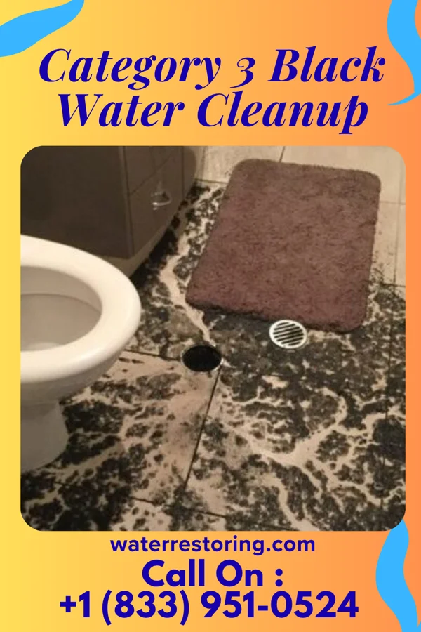 Category 3 Black Water Cleanup in Fruithurst, AL