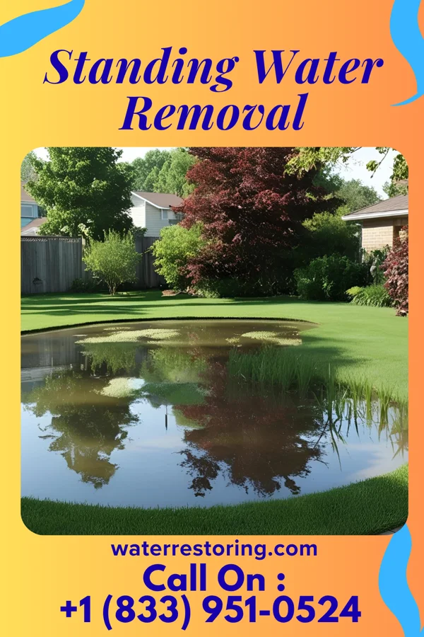 Standing Water Removal in Fruithurst, AL